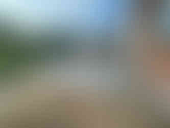 IMG_1071.jpeg