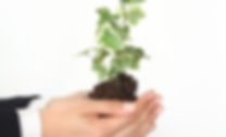 Growth
