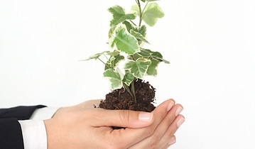 Growth