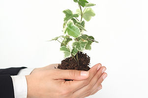 Growth 