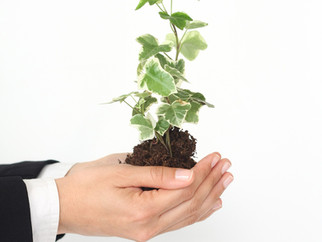 7 claves para mejorar tu productividad