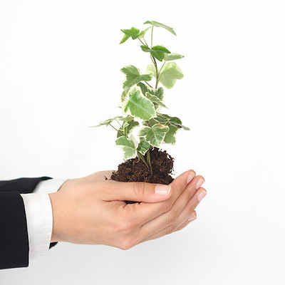 Growing Business