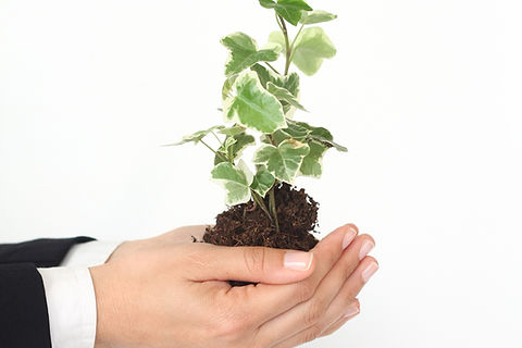 Growth 