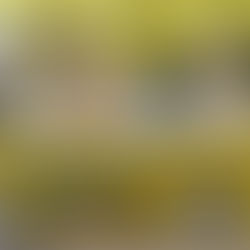 【展示会出展レポート】自治体・公共 Week 2026｜地域防災EXPOに出展しました！