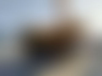 释放小松HD785的全部潜能：深入了解其性能