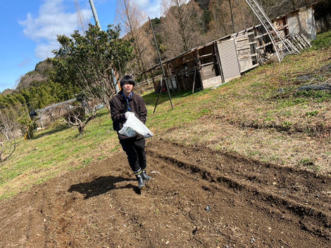 【いちくらの森|農地活用プロジェクト始動】