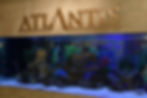 IMG_6079.jpeg