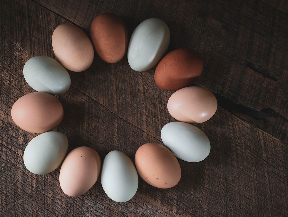 Eggs