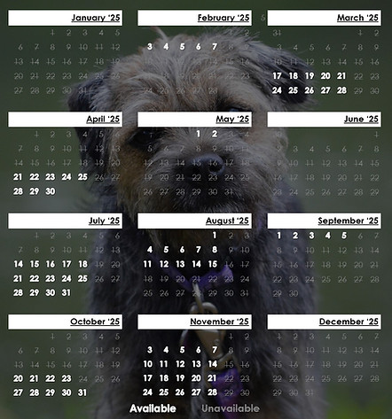 Calendar 004.jpg