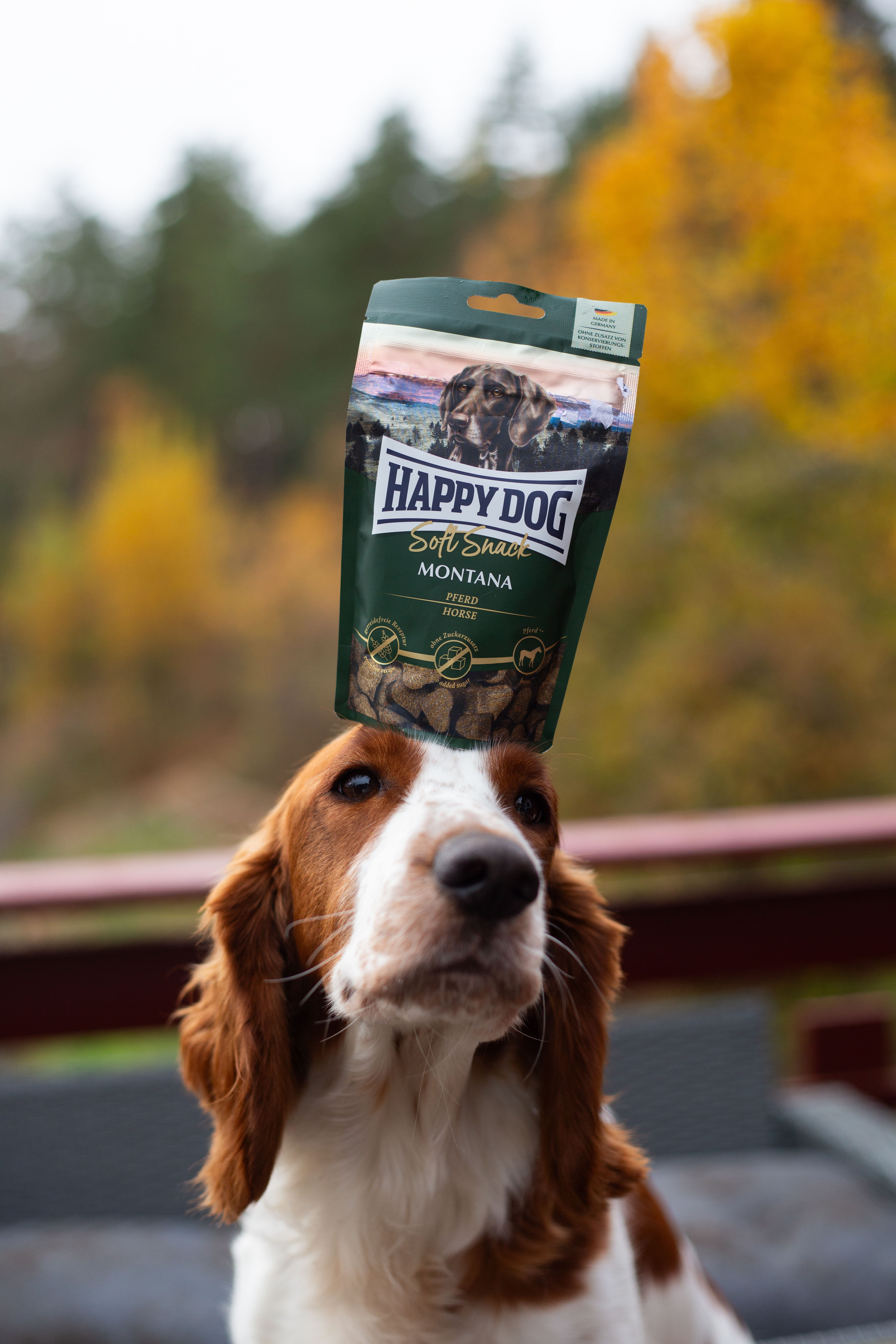 Happy Dog Soft Snack Montana