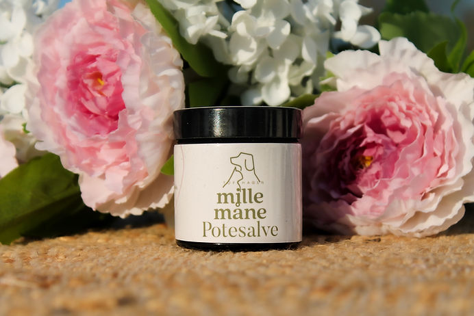 Potesalve fra Mille Måne