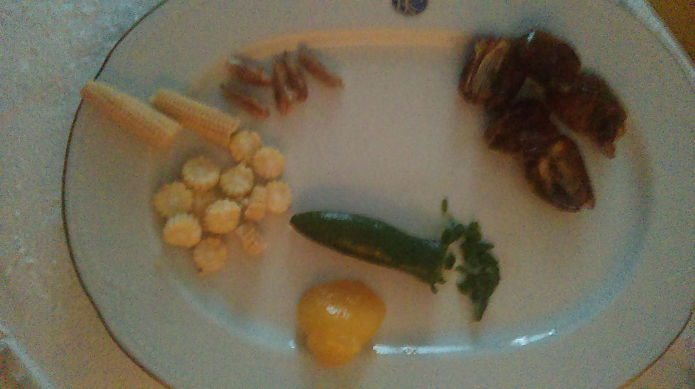 IMAG0329