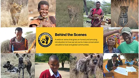 Benhind the Scenes banner