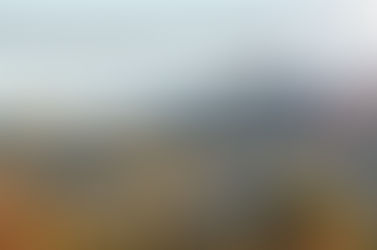 Lion Landscapes goes 100% climate positive