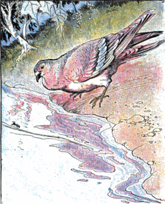 the_ant_and_the_dove2.gif