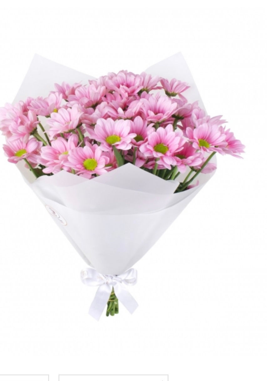 Pembe papatyalar