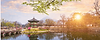 BANNER SITE BEE (1265 x 503 px) (12) (1).png