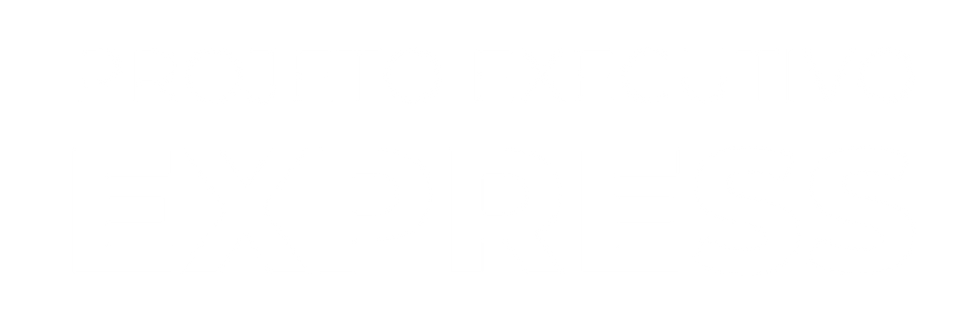 logomarca Projeto executivo express