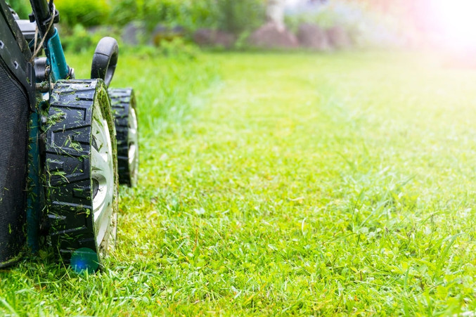 Lawn Care Maintenance