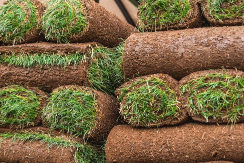 Rolls of Sod