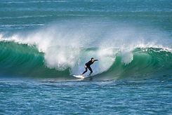DSC_1528-2.jpeg