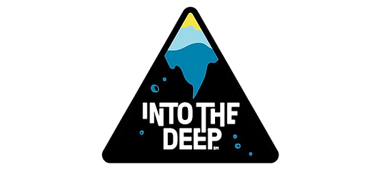fd_ftc_into-the-deep_logo_patch_full-col