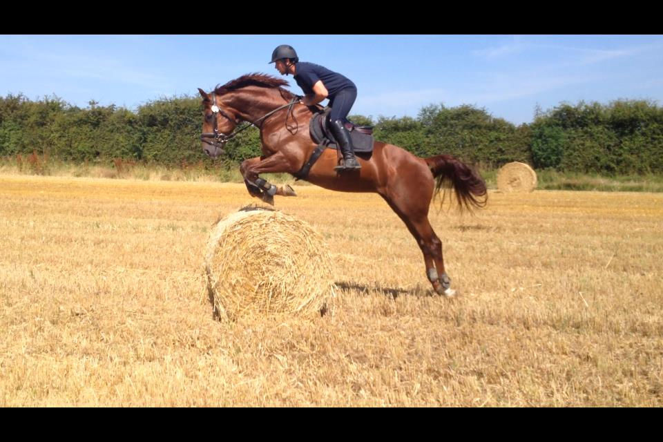 1240358_10204126527057515_53108990314055