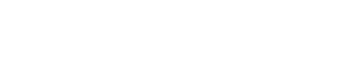 NashvilleVoyager.png