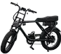 Fat e-Bike (Fatbike)