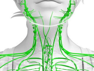 Whole Body Vibration Machine Exercises For A Congested Lymphatic System