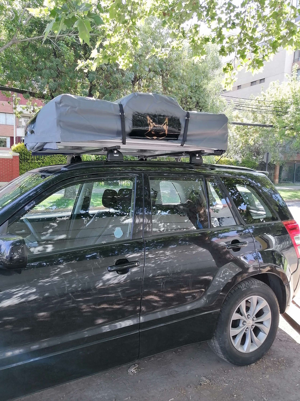 Carpa de techo