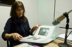 Elvira Ferrazini