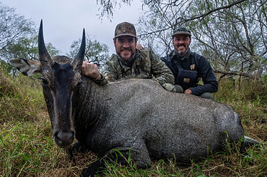 LLHUNT Yturria Nilgai