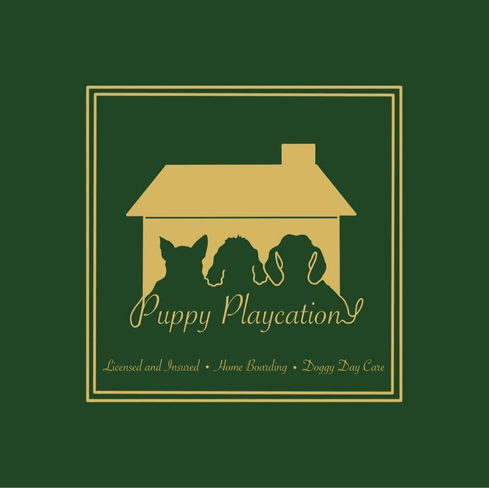 Puppy Playcation Ltd — dog boarding
