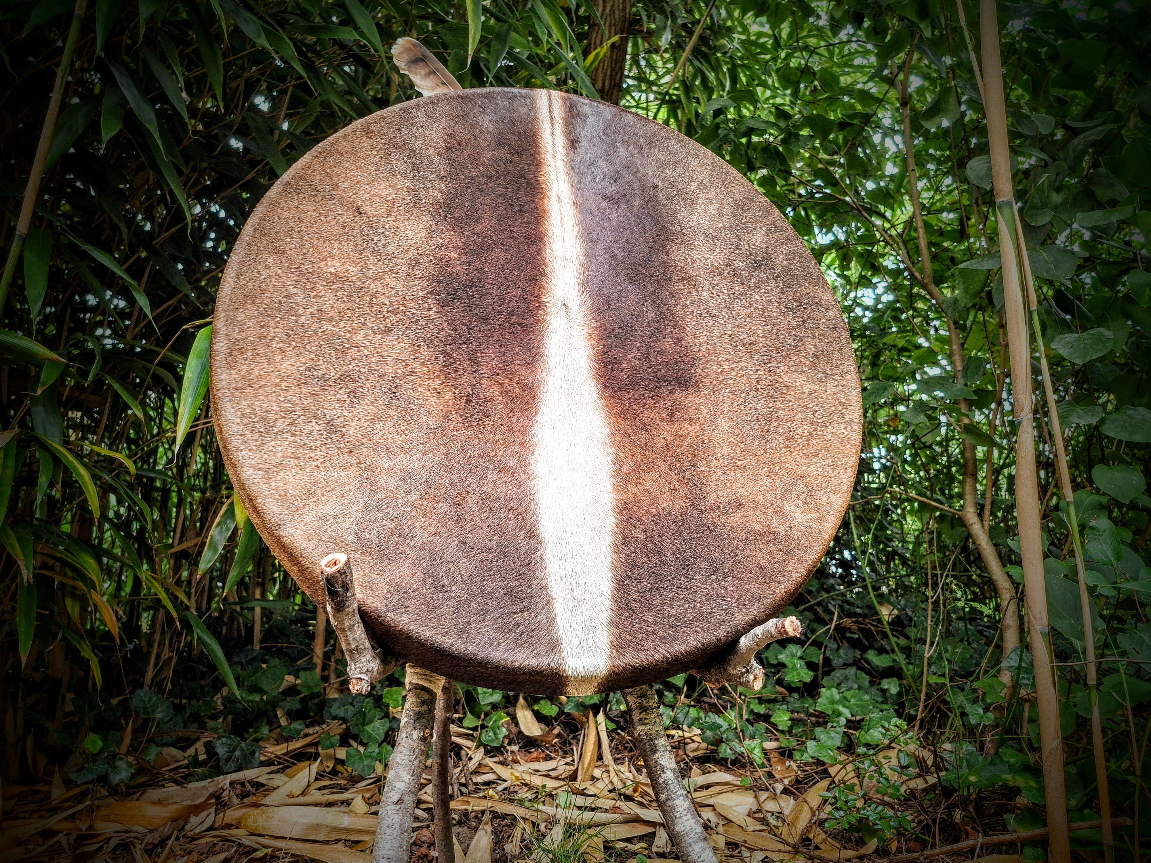 Whakaaro large shamanic horse drum