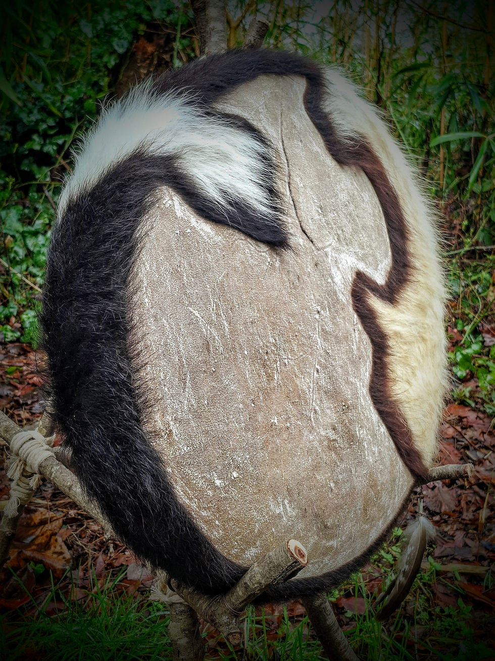 Thumbnail: Whakaaro Cow Drum