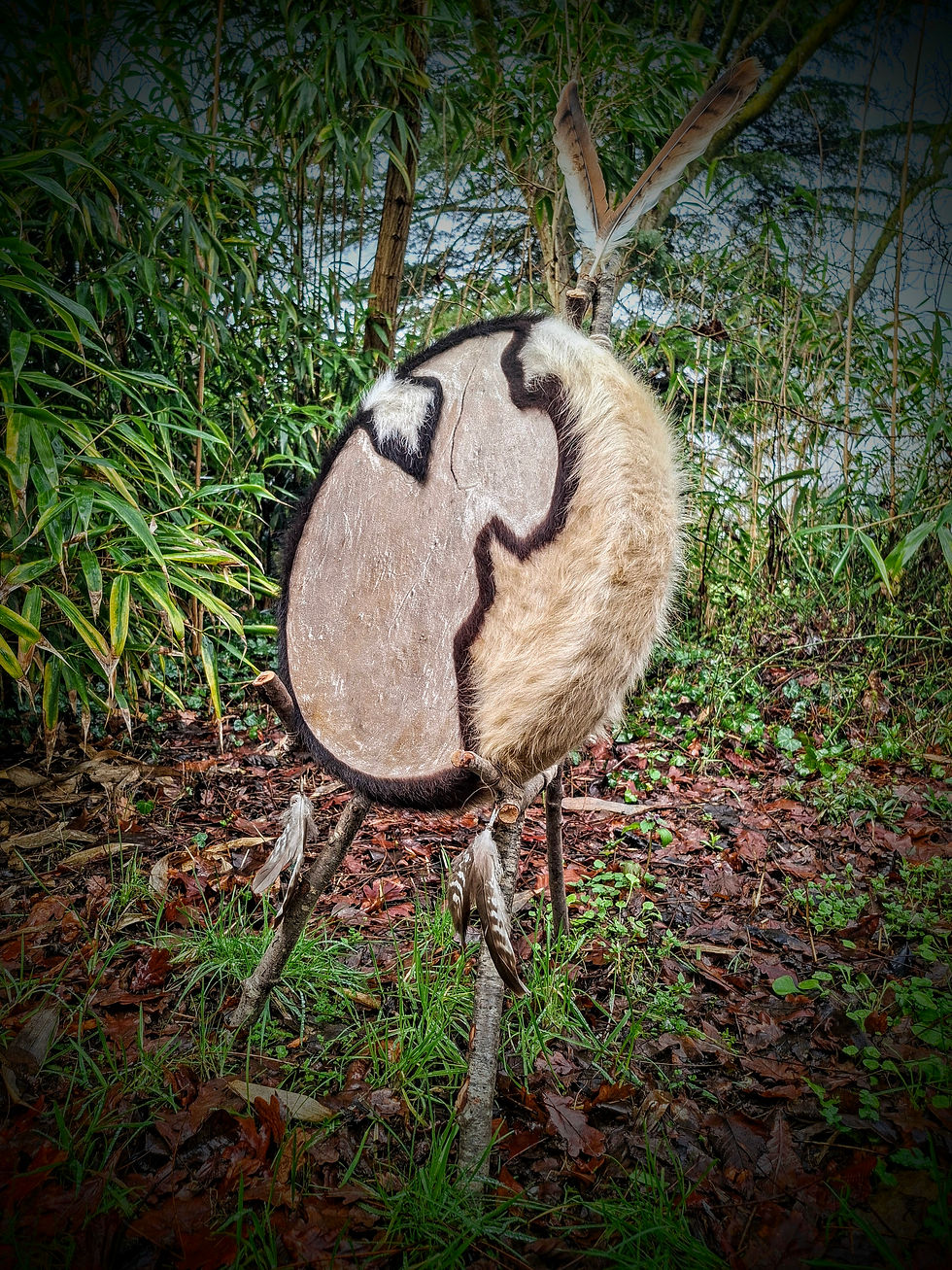 Thumbnail: Whakaaro Cow Drum