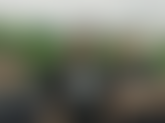 Terang Di Gelap Cahaya: Agrikulture combina ironía y esperanza en medio de la vida urbana contemporánea