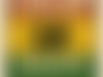 Jah Jah Riddims: un manifiesto de alegría que invita a bailar ft. Ras Mundele y Noya