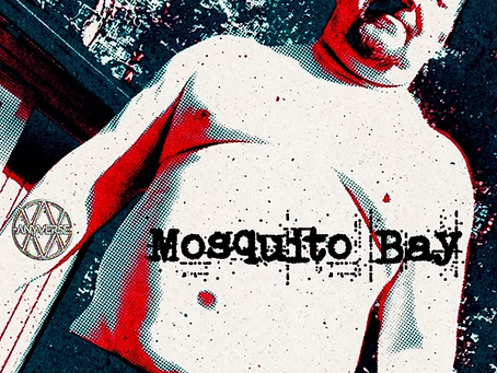 Anyverse lanza Mosquito Bay: un tributo rápido y ruidoso a la amistad y al espíritu del punk rock