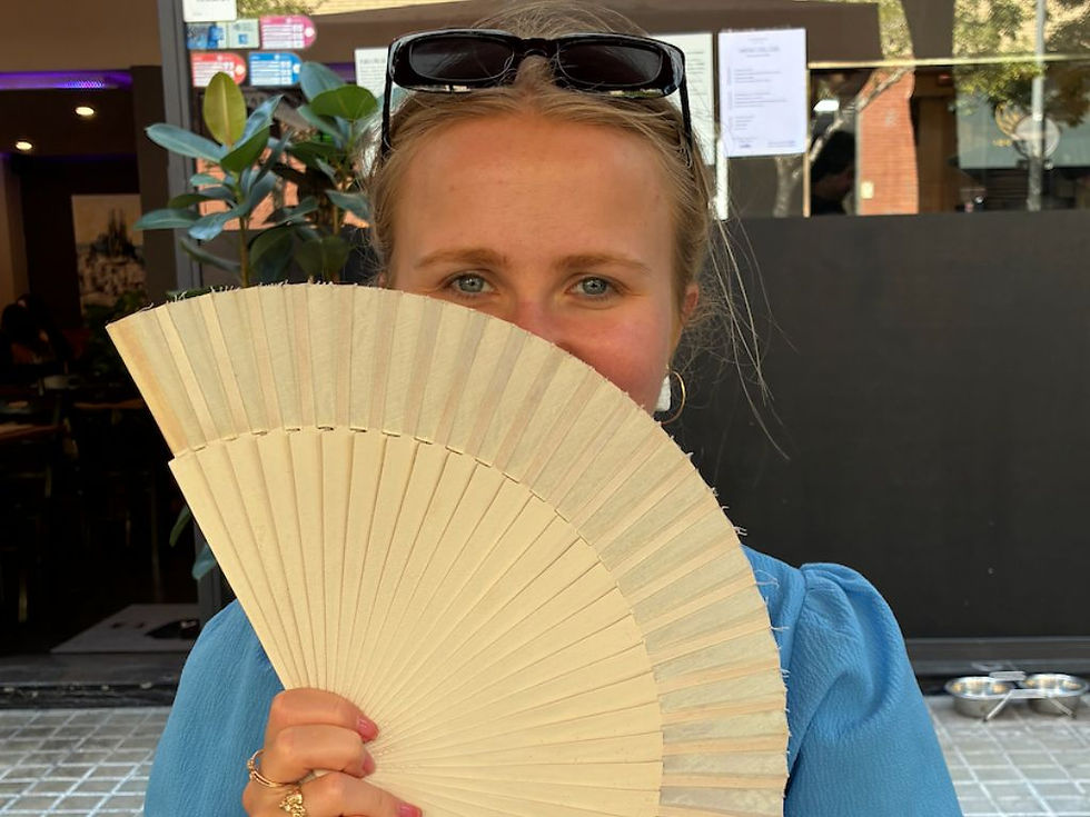 BRACAI AI summer internship