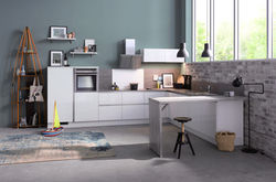 26719_mbrg296_Schiff