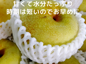 梨の季節です / 八百柿