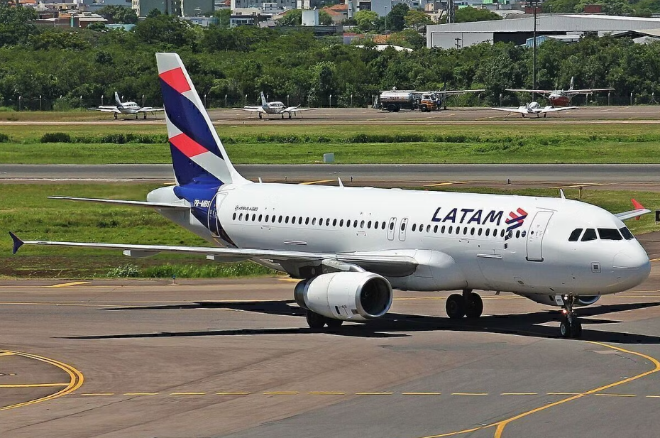 Capybara plane strike