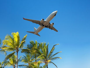 Airport Wildlife Hazard Management: Tropical vs Temperate