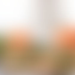 How to Make an Oxymel plus a Sage and Ginger Recipe 