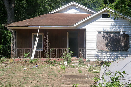 Andrea-Fenise-Family-Home-Renovationjpg.jpeg