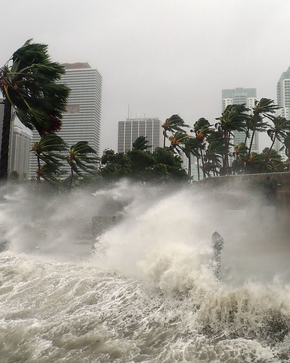 hurricane in city