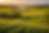 ChatGPT Image Mar 5, 2026 at 04_39_40 PM.png