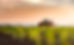 AdobeStock_504413838.jpeg